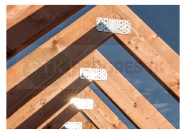 Plech PP 28 dierovaný 40x200mm bal.10ks