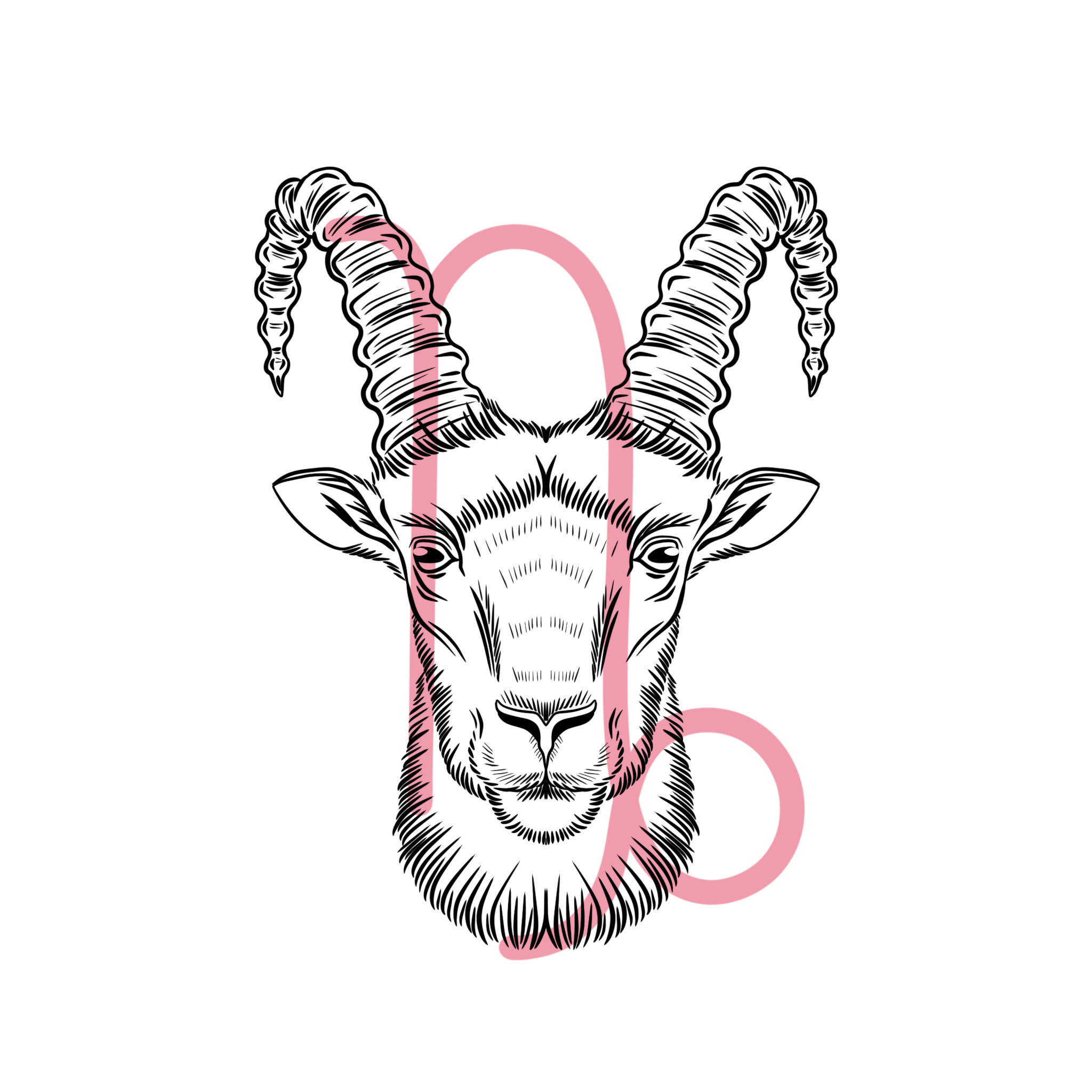 Kamene podľa znamenia zverokruhu