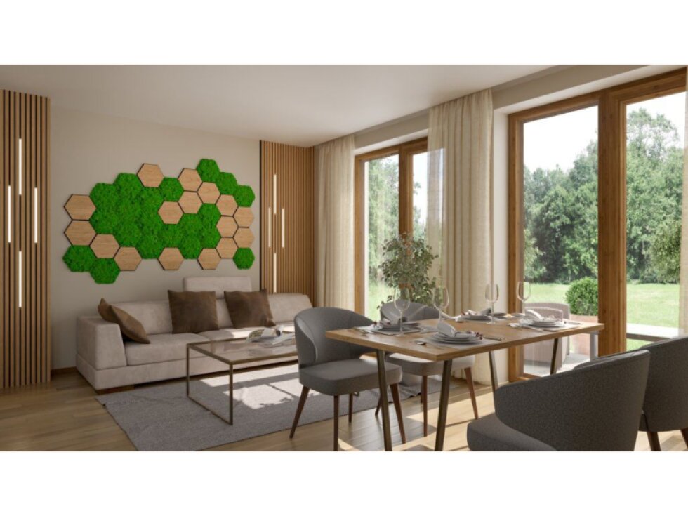 Dekorativní obklad na stěnu, Mech, Hexagon