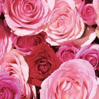 Khadi Hair Oil Rose Repair – vlasový olej pro obnovu poškozených vlasů 50 ml