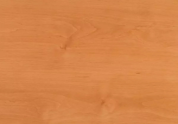 Křeslo Takuna buk - čalouněný sedák