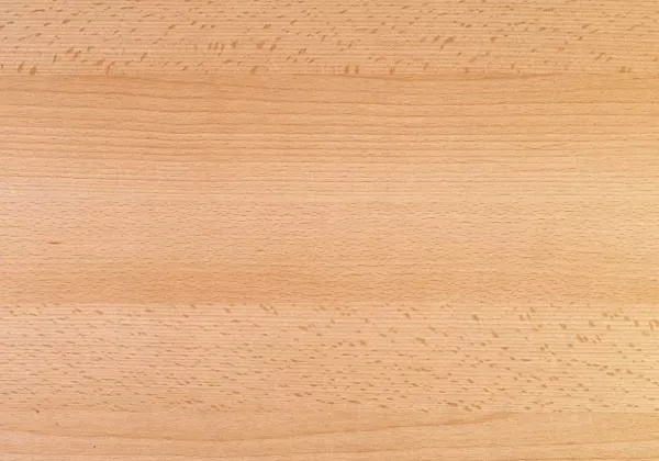 Židle Silvana - čalouněný podsedák