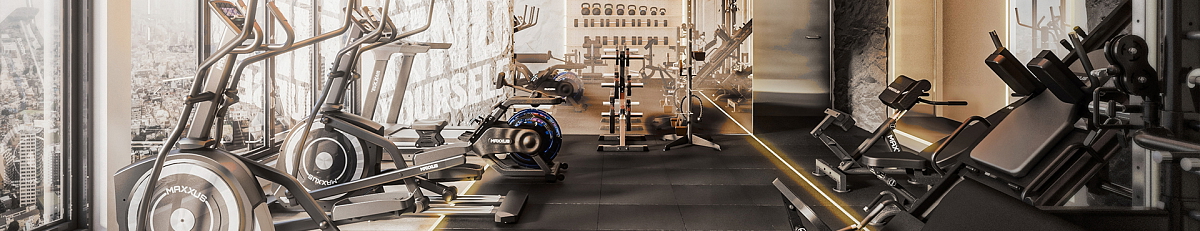 Crosstrainer CX 3.0