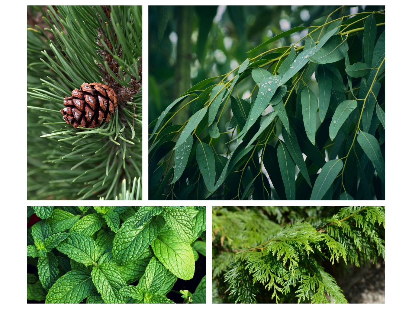 Sójová svíčka Vánoční kouzlo