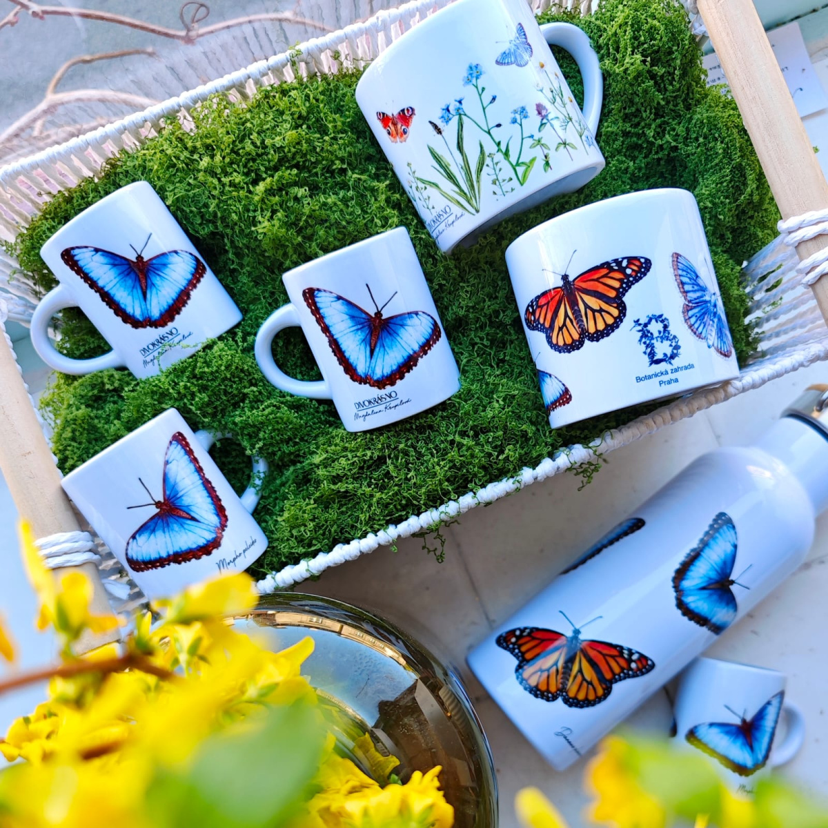 Divokrásná křídla pro botanickou zahradu