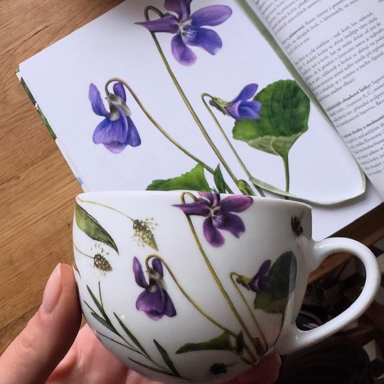 Léčivé dědictví s věnováním - Bylinkový balíček