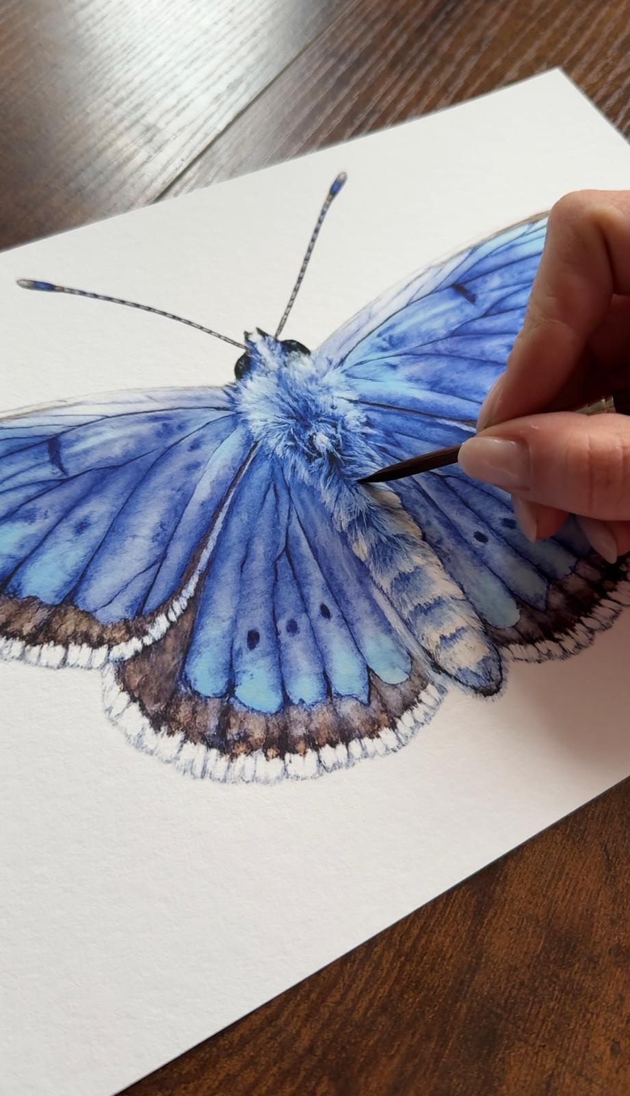 Divokrásná křídla pro botanickou zahradu