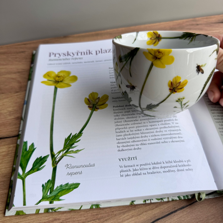 Léčivé dědictví s věnováním - Bylinkový balíček