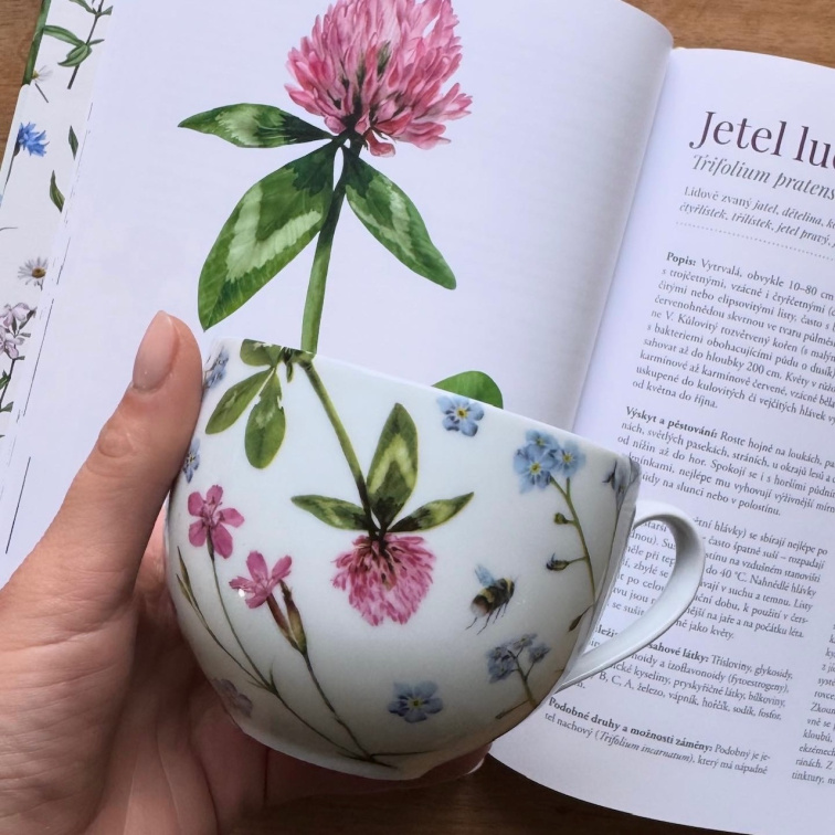 Léčivé dědictví s věnováním - Bylinkový balíček