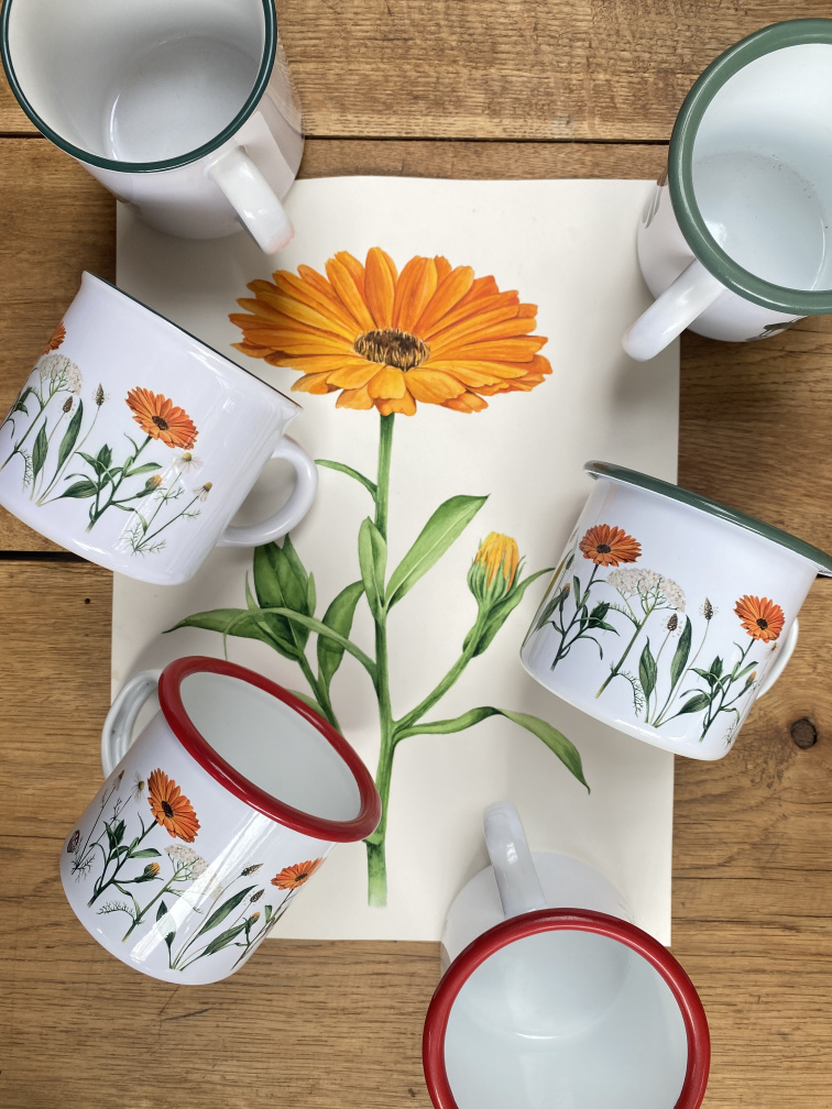 Od prvního plecháčku, až po prémiový porcelán