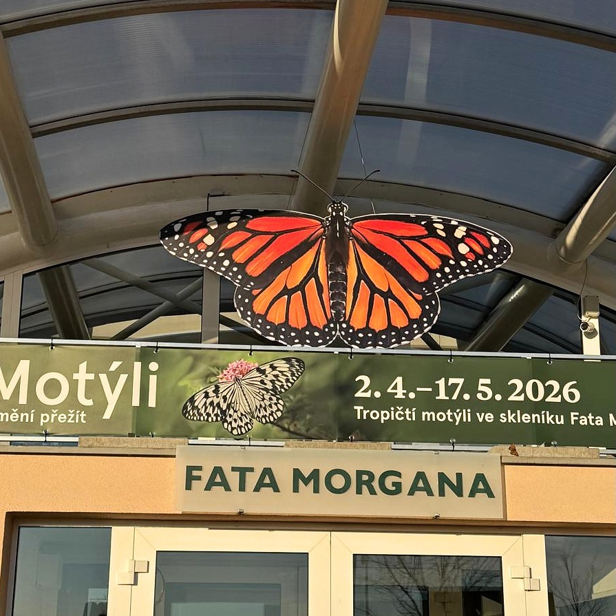 Divokrásná křídla pro botanickou zahradu