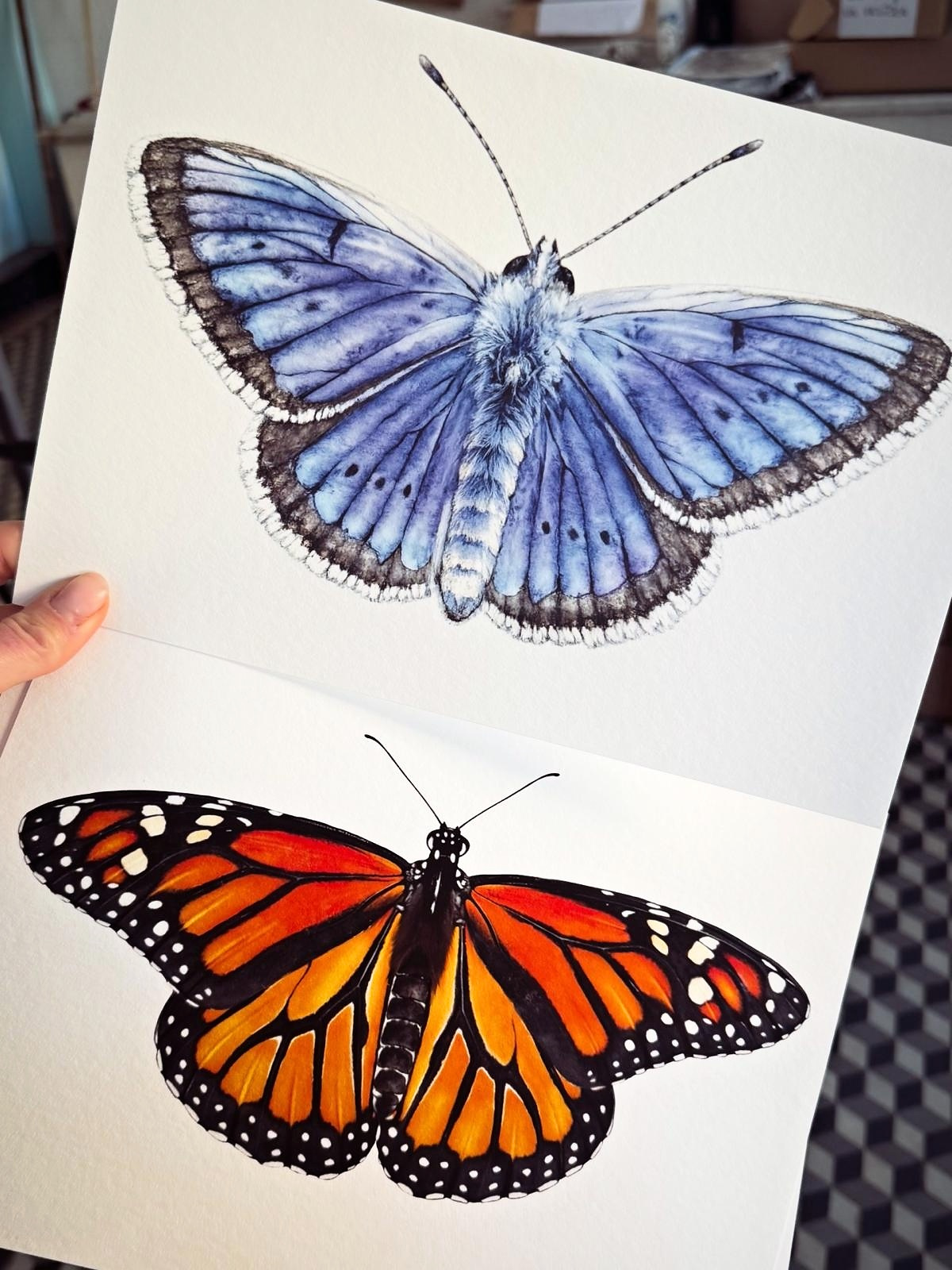 Divokrásná křídla pro botanickou zahradu