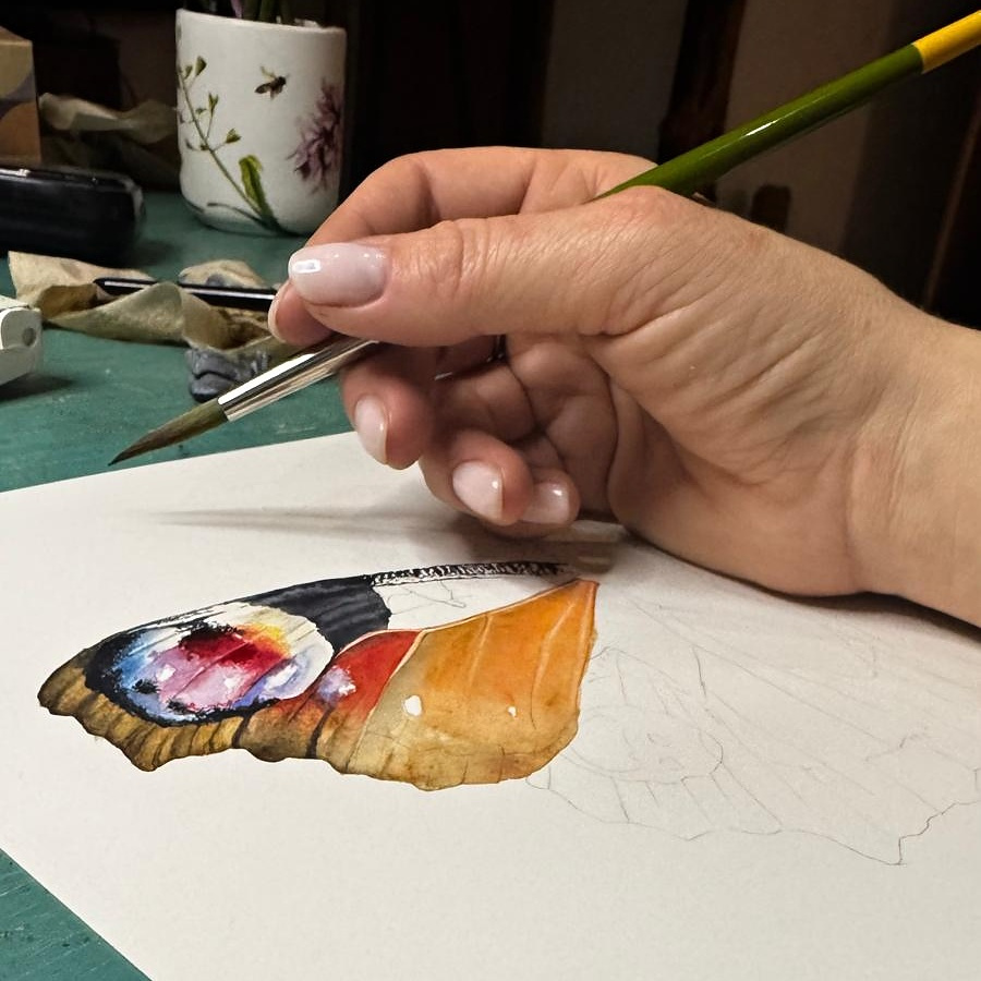 Divokrásná křídla pro botanickou zahradu