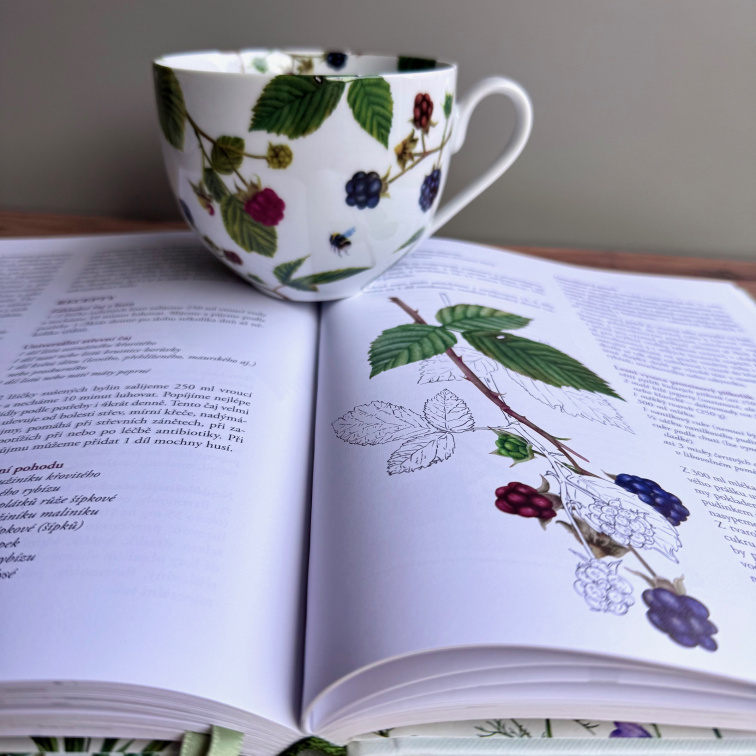 Léčivé dědictví s věnováním - Bylinkový balíček