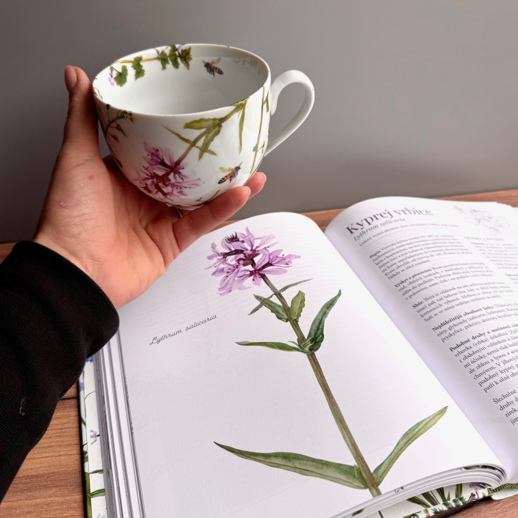 Léčivé dědictví s věnováním - Bylinkový balíček