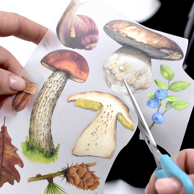 Nažehlovačky na oblečení - Růže II.