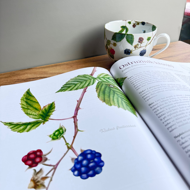 Léčivé dědictví s věnováním - Bylinkový balíček