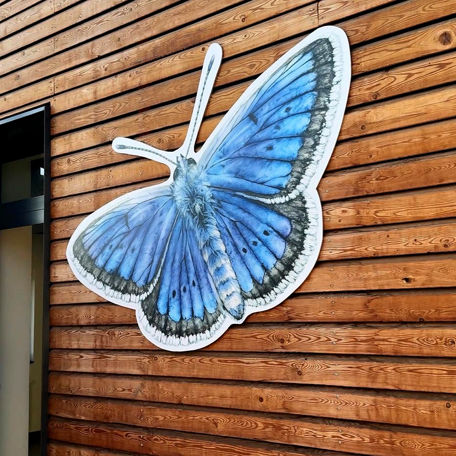 Divokrásná křídla pro botanickou zahradu