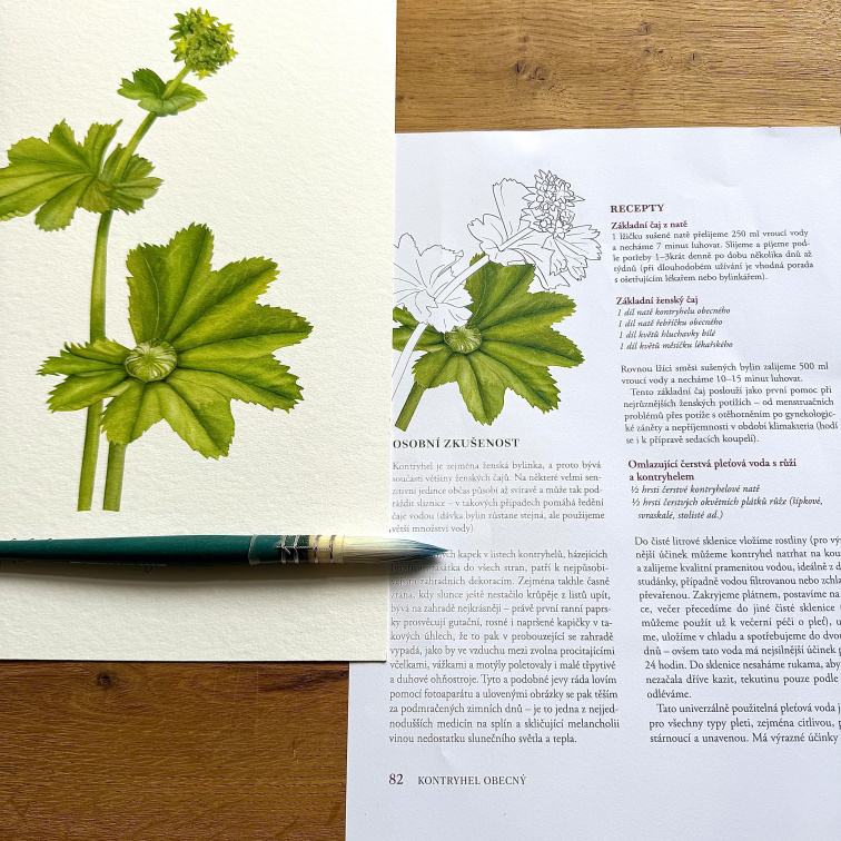 Léčivé dědictví s věnováním - Bylinkový balíček