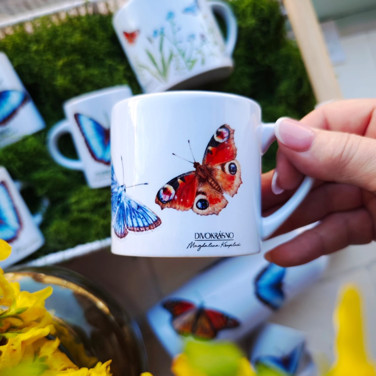 Divokrásná křídla pro botanickou zahradu