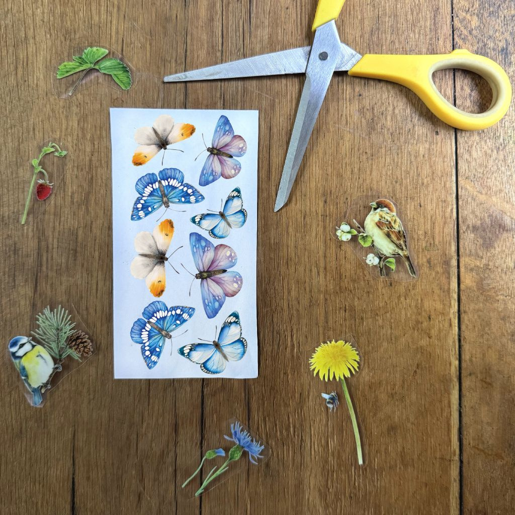 Divokrásná křídla pro botanickou zahradu