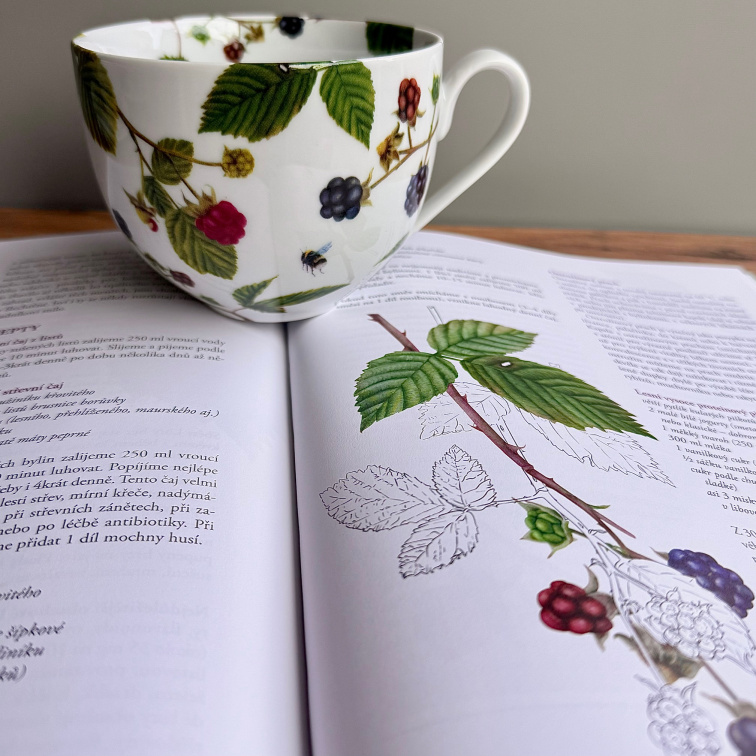 Léčivé dědictví s věnováním - Bylinkový balíček