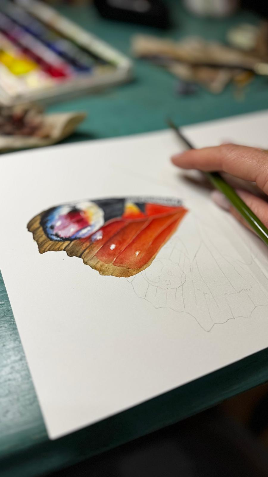 Divokrásná křídla pro botanickou zahradu