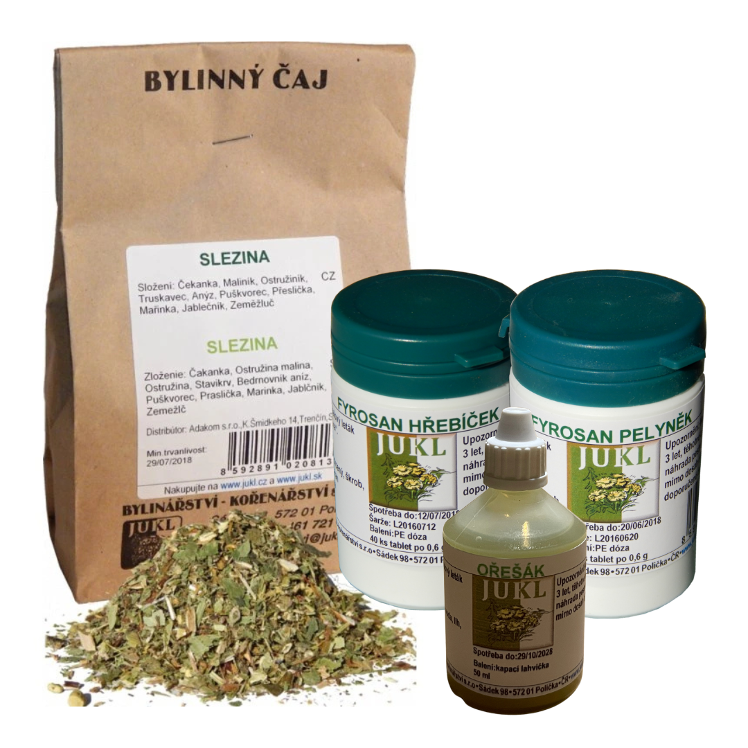 Detoxikační bylinná kúra Červotoč