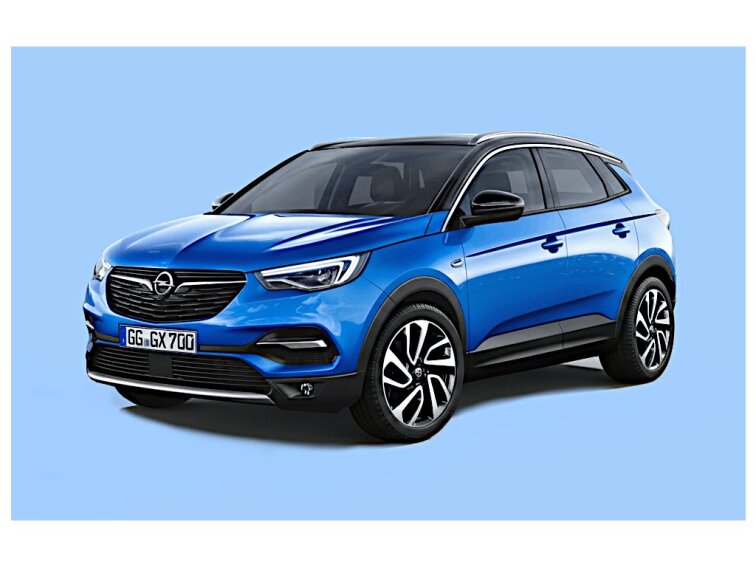 Opel Grandland X 2017-2024 WENON autorohože