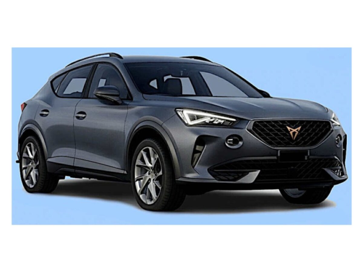 Cupra Formentor suv 2020-2024 WENON autorohože