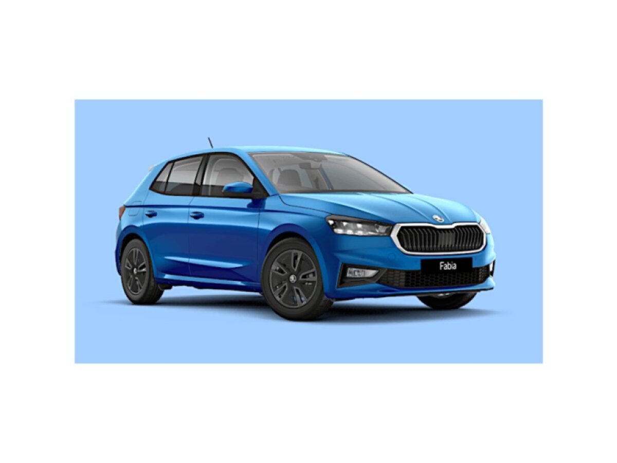 Škoda Fabia IV hatchback 2021– WENON