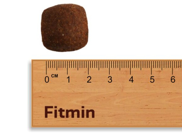 Fitmin For Life Large Breed krmivo pro psy 12 kg