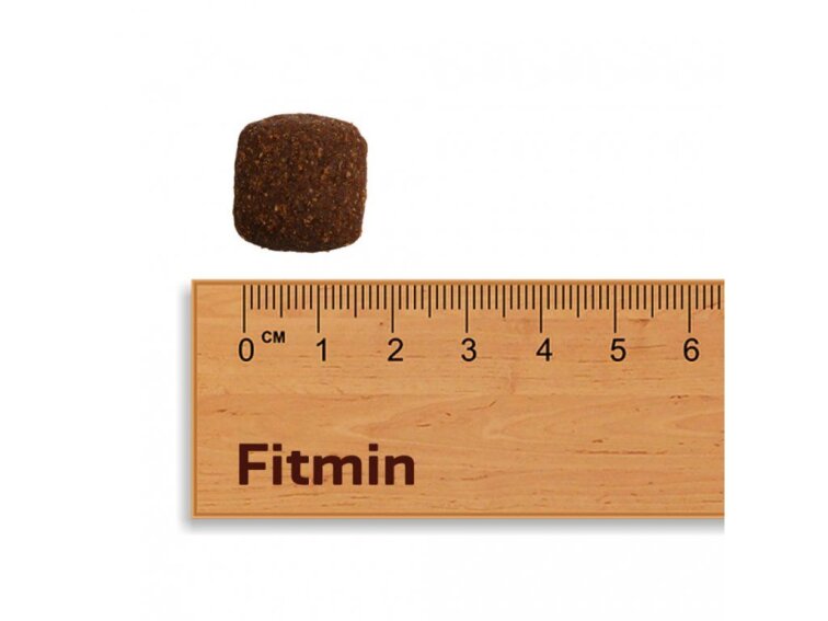 Fitmin For Life Junior Large Breed krmivo pro psy 12 kg