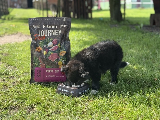 Fitmin Fresh Journey Mini krmivo pro malé psy 2 kg