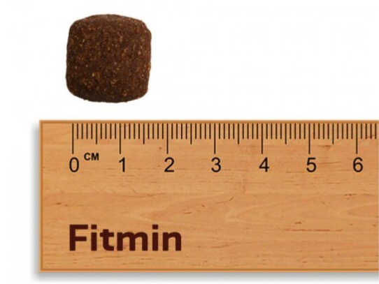 Fitmin For Life Junior Large Breed krmivo pro psy 12 kg