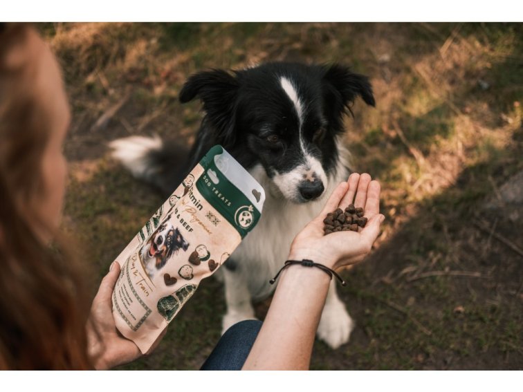 Fitmin NP Play and Train Lamb & Beef výcvikový pamlsek 400 g