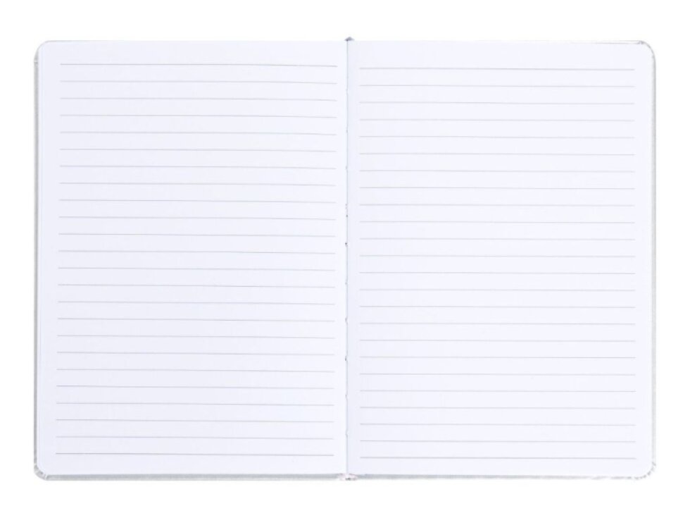 BAAGL Notes Nasa