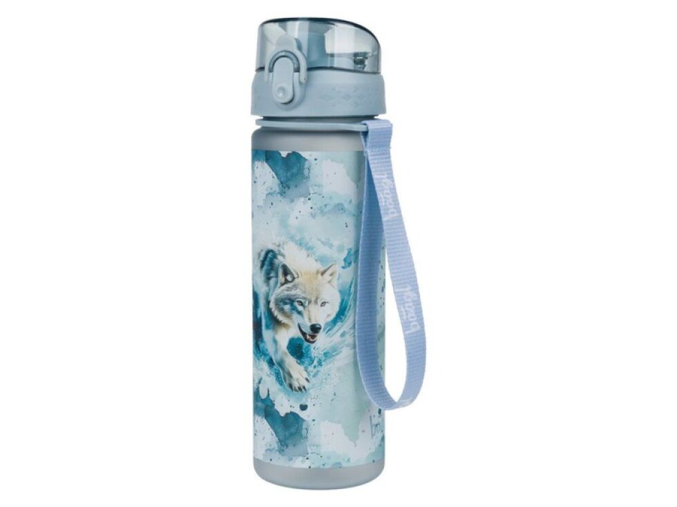 BAAGL Tritanová láhev na pití 500 ml Polar