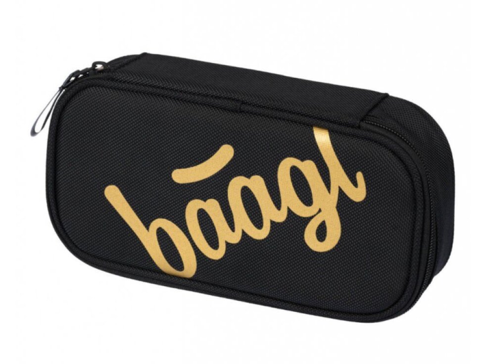 BAAGL Penál etue Skate Gold