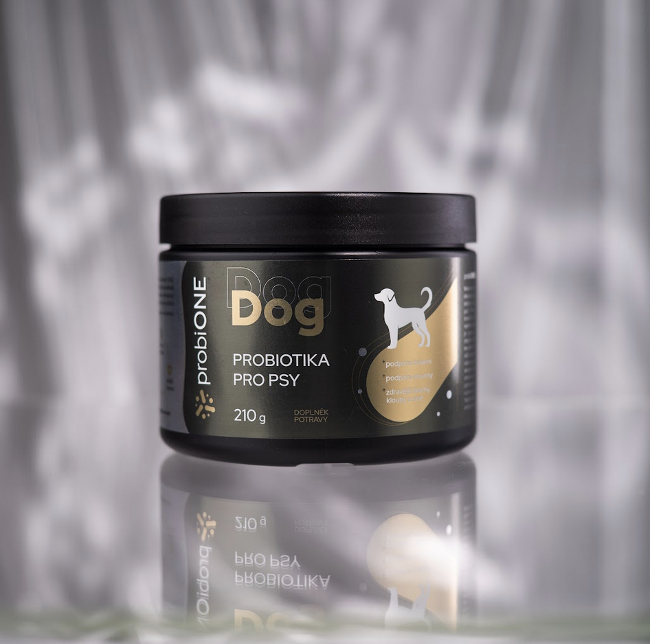 Probiotika pro psy - probiONE DOG