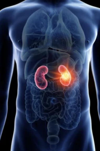 Ledvinová probiotika - probiONE NEPHRO, 30 miliard denní dávka, 120 tbl